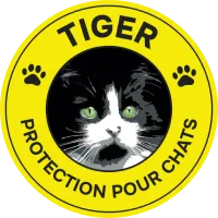 FILET SYSTEME logo