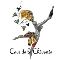 VINS CT2M logo