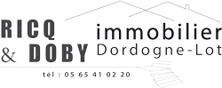 FERLIN DANIELE logo