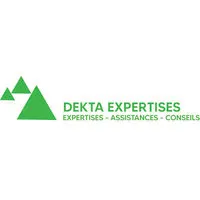 DEKTA CONSULTANTS logo