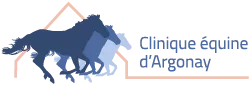 SELARL AMBLE logo