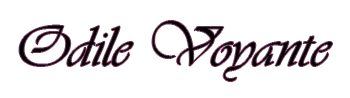 O.P EVENEMENTIEL logo
