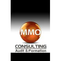 MMO CONSULTING logo