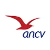 BP AND CO logo