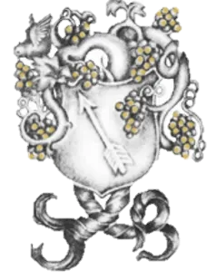 SAS SCHLEGEL BOEGLIN logo