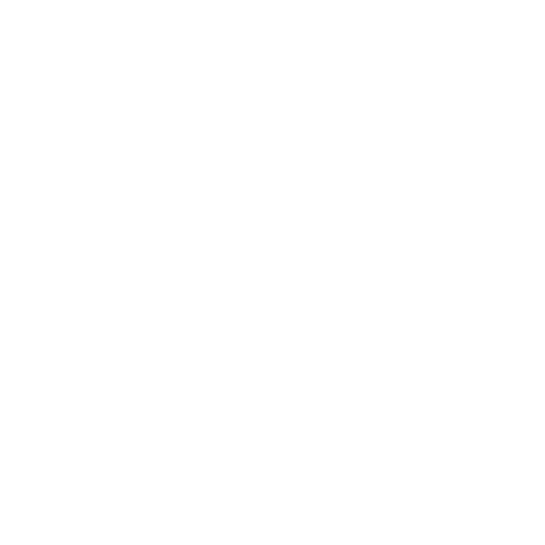 VISION FRANCE logo