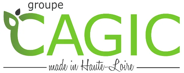 CAGIC logo