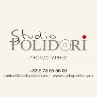 STUDIO POLIDORI logo