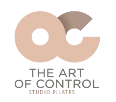 THE ART OF CONTROL logo