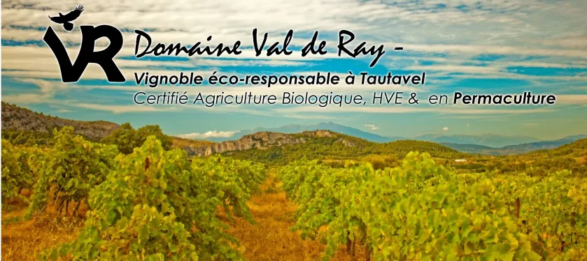 DOMAINE VAL DE RAY logo