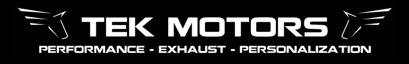 TEK MOTORS logo