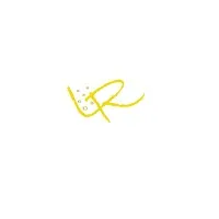 DOMAINE DES RUAULTS logo