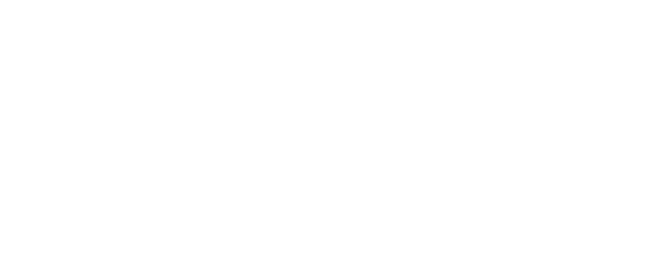 DB PRO SERVICES logo