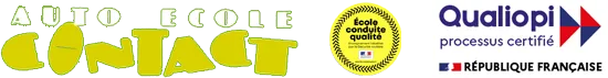 MAURAIZIN PATRICK logo