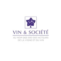 V.I.N logo