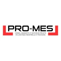 PRO-MES logo
