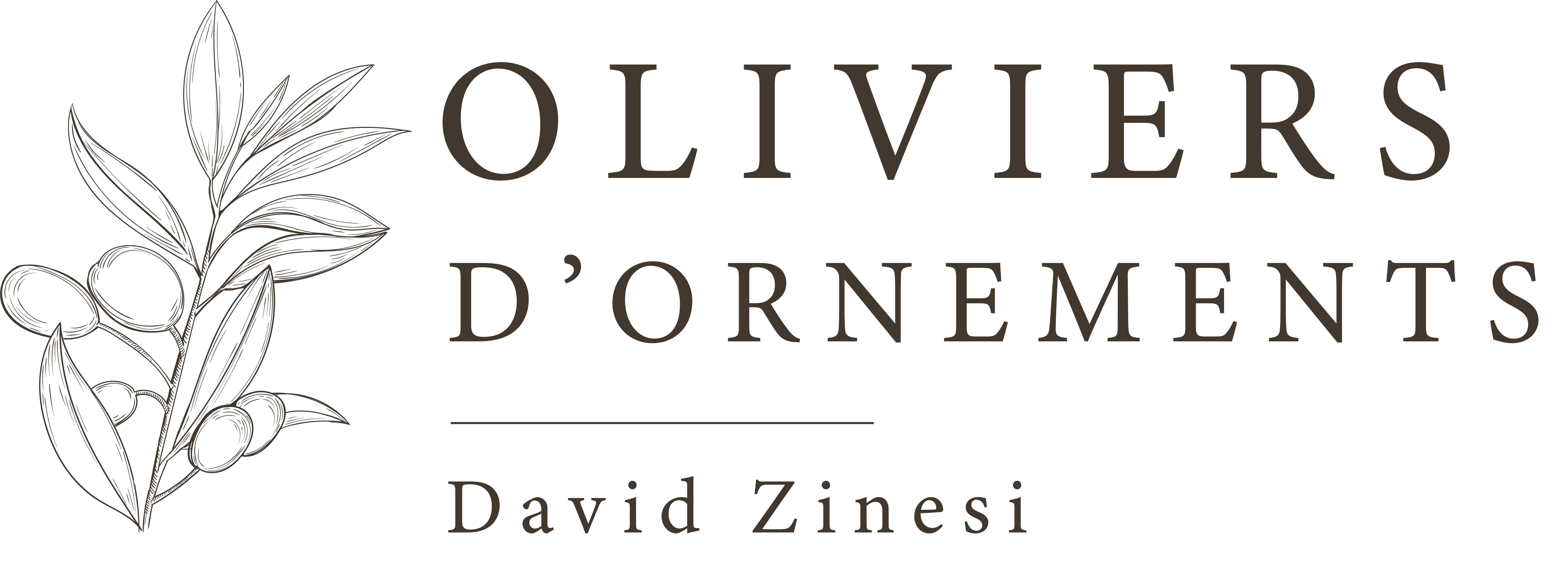 LES OLIVIERS DAVID ZINESI logo