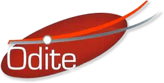 VAIRO GINO logo
