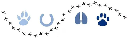 SELARL VETERINAIRE DES BRUYERES logo