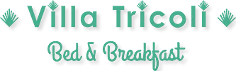 LA VILLA TRICOLI logo