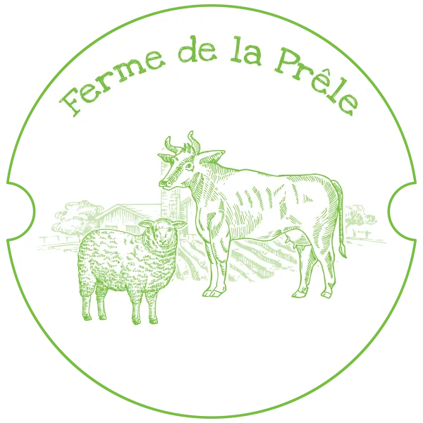 EMILE SANDRINE logo