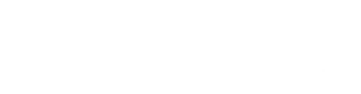 SMODELS logo