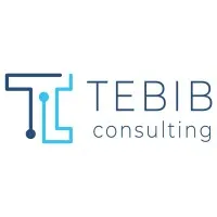 TEBIB CONSULTING logo