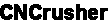 R-SCAUDA logo