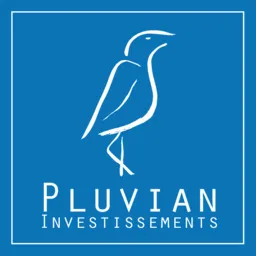 PLUVIAN INVESTISSEMENTS logo