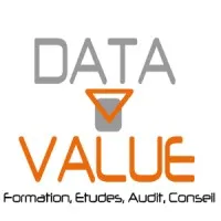 DATA VALUE logo