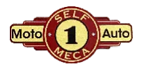 SELF MECA logo
