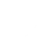 NGUYEN THE VINH logo