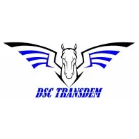 TRANSDEM SERVICES logo