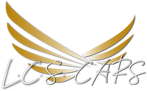 LUXURY COACH SERVICE logo