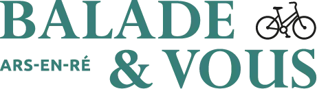 BALADE & VOUS logo