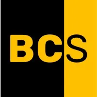 BEN CONSULTING SERVICES logo