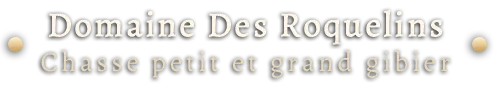 SARL DU DOMAINE DES ROQUELINS logo