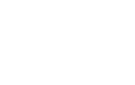 ERRANTE VINCENT logo