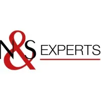 N&S EXPERTS logo