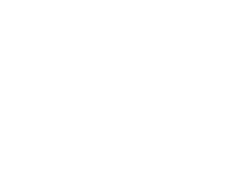 LOYAL AC logo