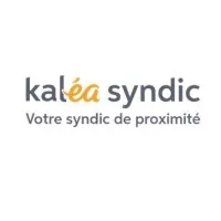 KALEA SYNDIC logo