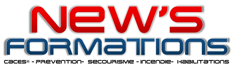 NEW PERFORMANCES logo