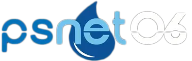 PS NET 06 logo