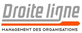 DROITE LIGNE logo