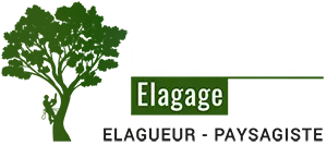 REINARD PAUL logo
