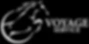VOYAGE SERVICE logo
