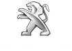 GARAGE LENICA logo