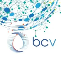 BASECAMP VASCULAR logo