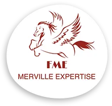 MERVILLE EXPERTISE (FME) logo