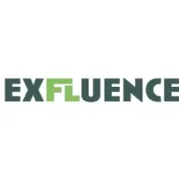 Voici le logo de la marque EXFLUENCE qui représente son identité graphique.
